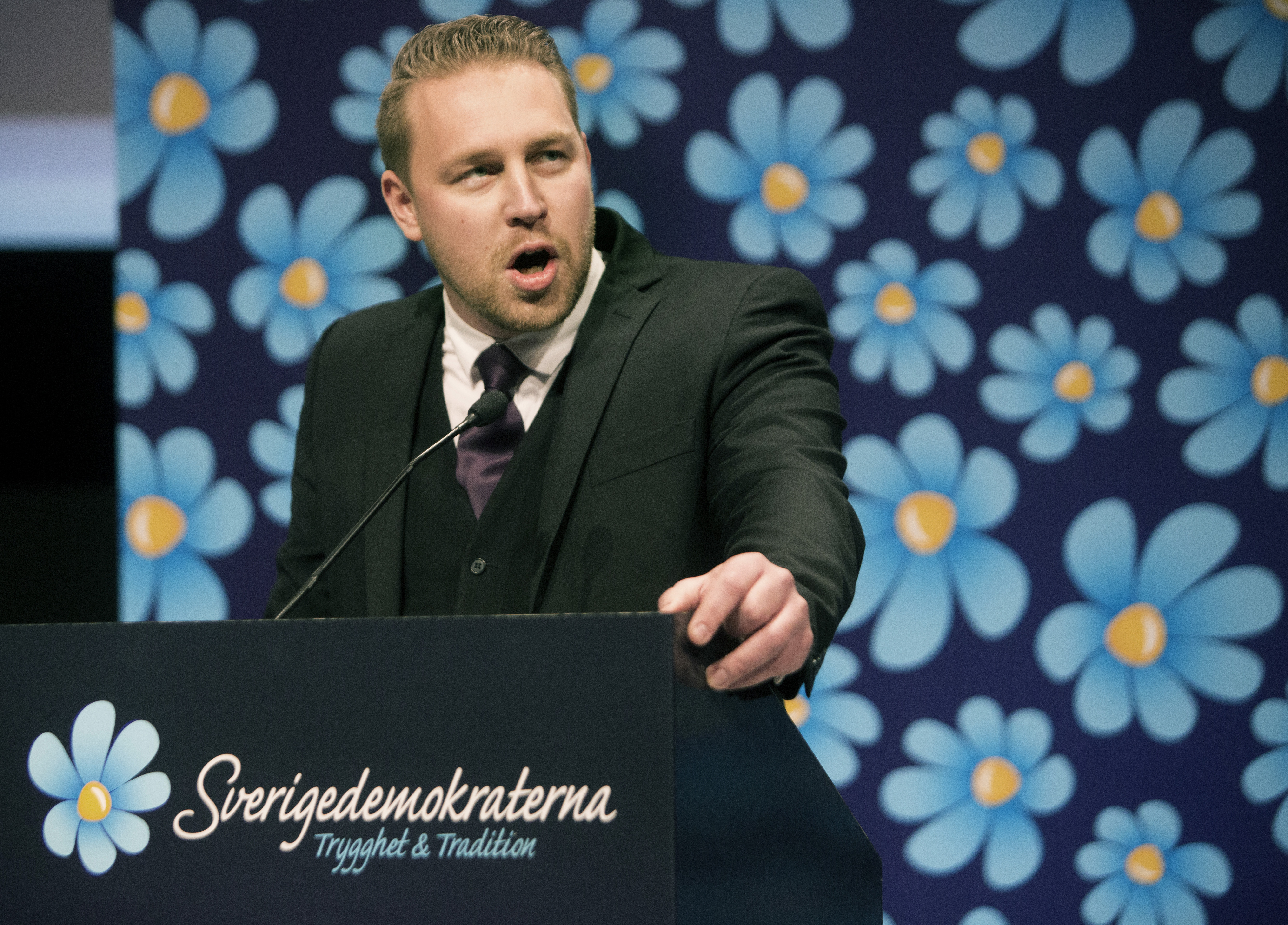 SD:s vikarierande partiledare Mattias Karlsson